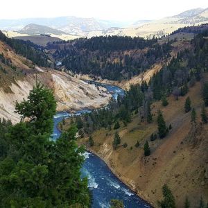 Meet your Posher, Gorge